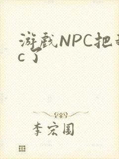 游戏NPC把我c了