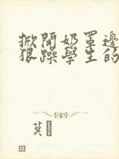 掀开奶罩边躁狠狠躁学生的小文字