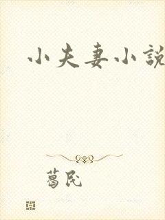 小夫妻小说