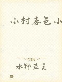 小村春色小说封面