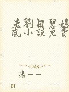 老刘日儿媳妇张岚小说免费阅读封面