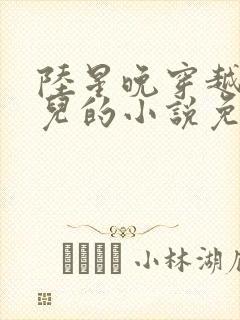 陆星晚穿越成婴儿的小说免费阅读全文