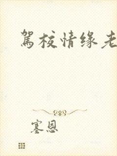 驾校情缘老赵封面