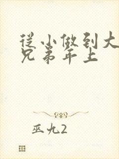 从小做到大骨科兄弟年上封面