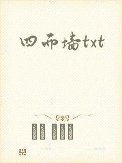四面墙txt封面