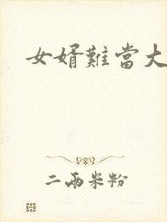 女婿难当大结局