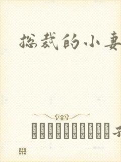 总裁的小妻子封面