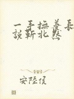 一手抚养长大小说靳北然