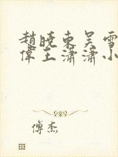 赵晓东吴雪晴郑伟王潇潇小说