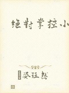 绝对掌控小说
