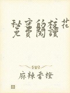 秘密的校花小说免费阅读