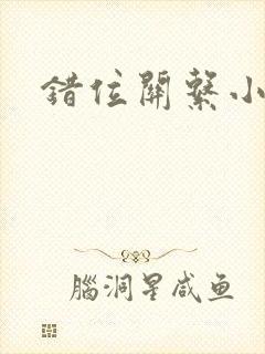 错位关系小说封面