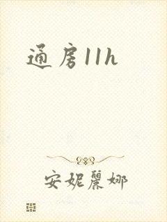 通房11h