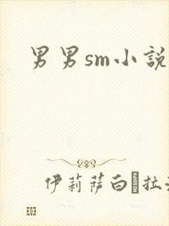 男男sm小说