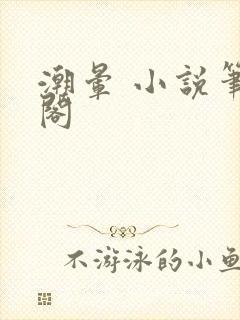 潮晕 小说笔趣阁