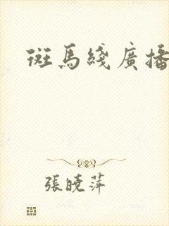 斑马线广播剧