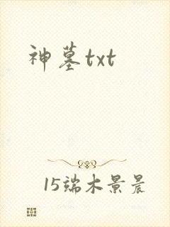 神墓txt