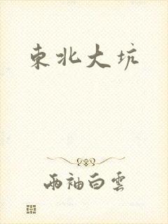 东北大坑封面
