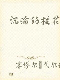 沉沦的校花