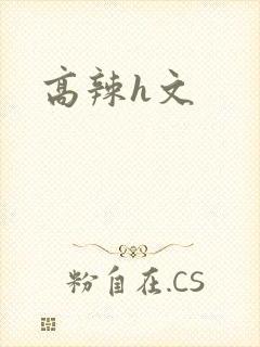 高辣h文