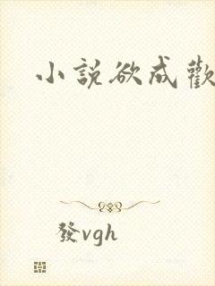 小说欲成欢