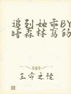追到她乖BY黑暗森林写的小说