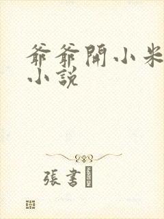 爷爷开小米的包小说