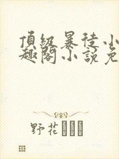 顶级暴徒小说笔趣阁小说免费阅读