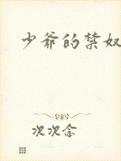 少爷的禁奴封面