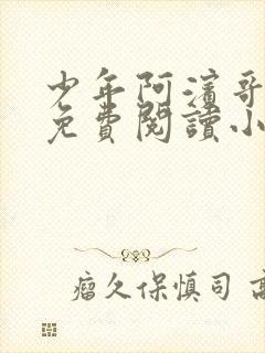 少年阿滨哥全文免费阅读小说封面
