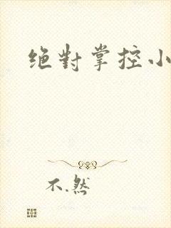 绝对掌控小说封面
