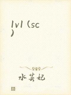 1v1 (sc)