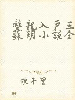 双龙入户三人行苏玥小说全文阅读