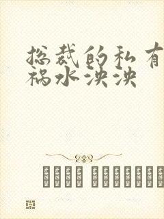 总裁的私有宝贝祸水泱泱