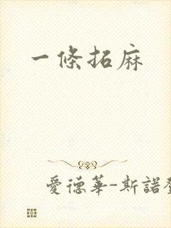 一条拓麻封面