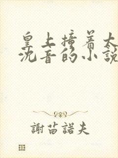 皇上撞着太子妃沈音的小说叫什么