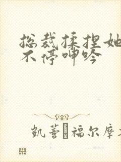 总裁揉捏她两乳不停呻吟