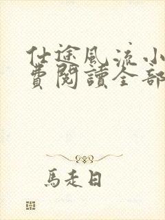 仕途风流小说免费阅读全部章节封面