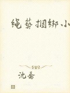 绳艺捆绑小说封面