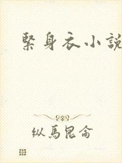 紧身衣小说