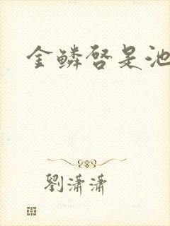 金鳞启是池中物封面