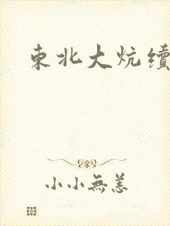 东北大炕续