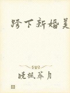 跨下新婚美妇封面