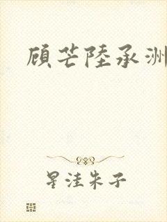 顾芒陆承洲