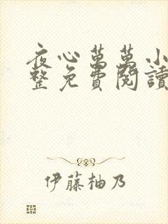 夜心万万小说完整免费阅读全文封面