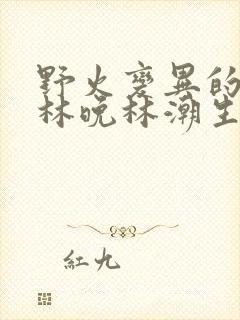 野火变异的父爱林晚林潮生封面