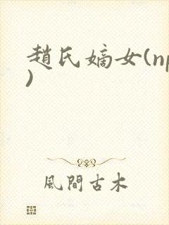 赵氏嫡女(np)封面