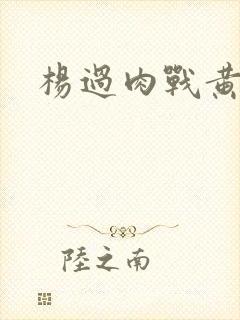杨过肉战黄蓉