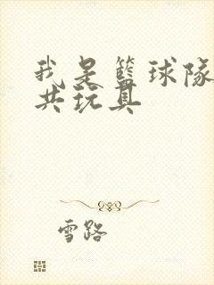我是篮球队的公共玩具封面