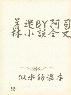 着迷BY阿司匹林小说全文免费阅读